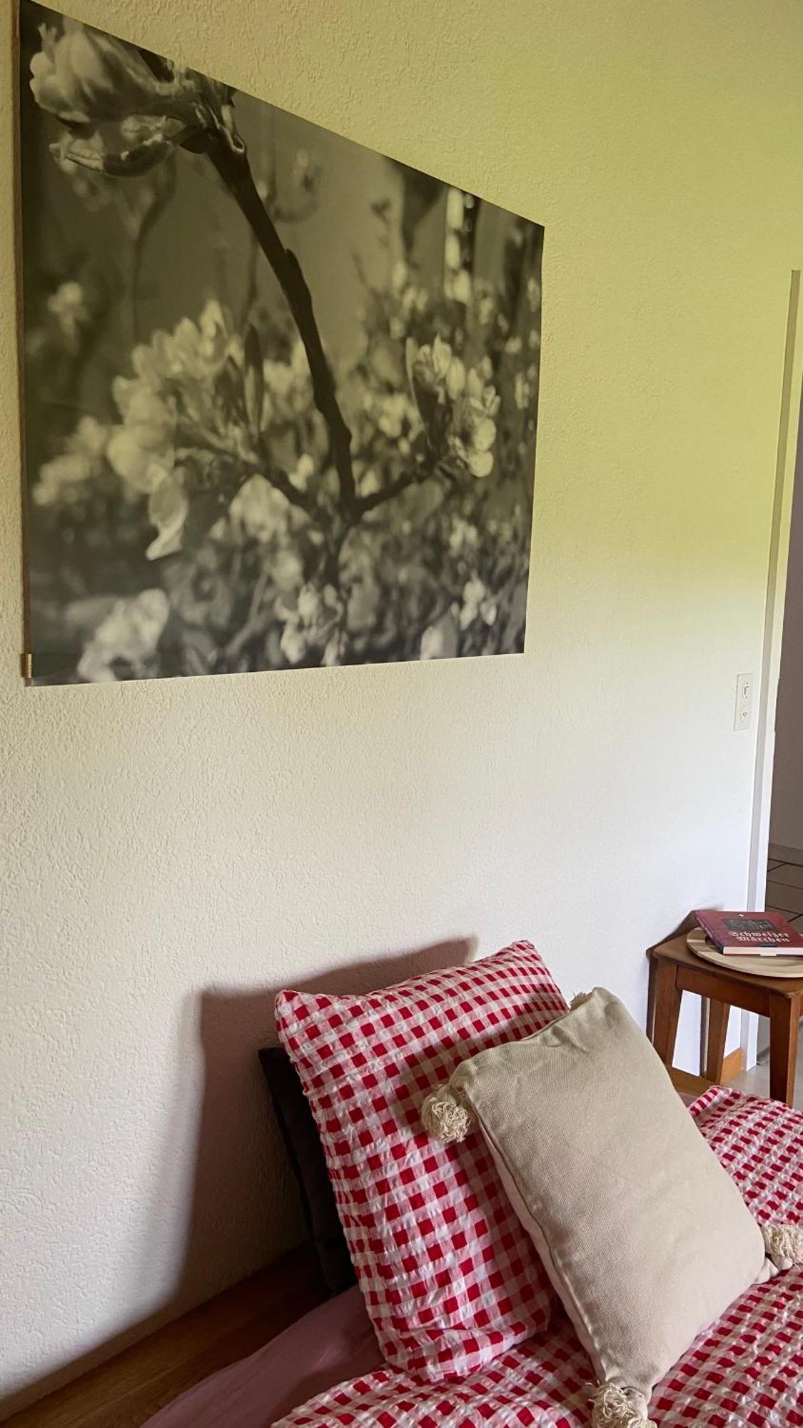 Naturnahe Familienwohnung Ruschegg Екстер'єр фото