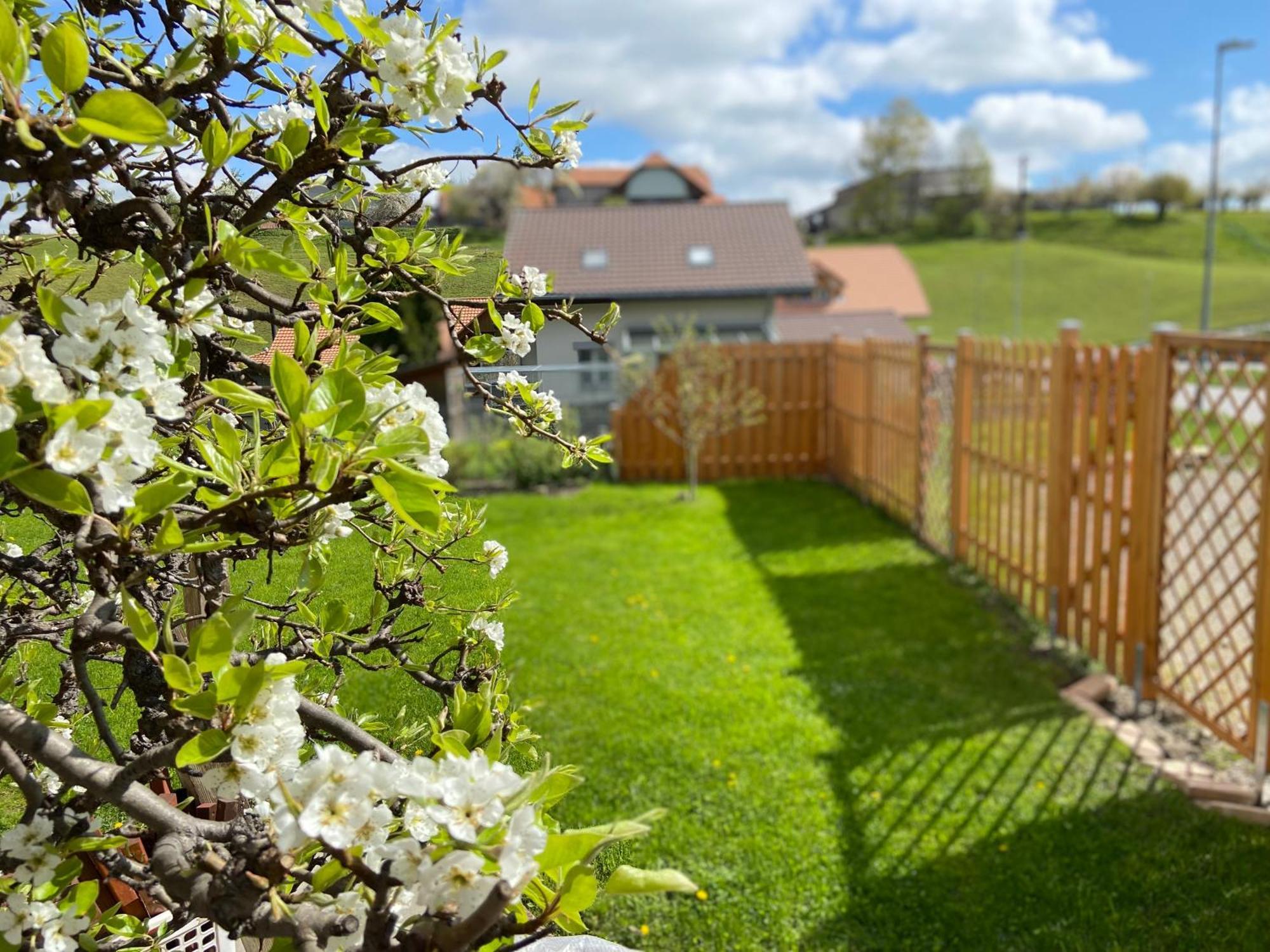 Naturnahe Familienwohnung Ruschegg Екстер'єр фото